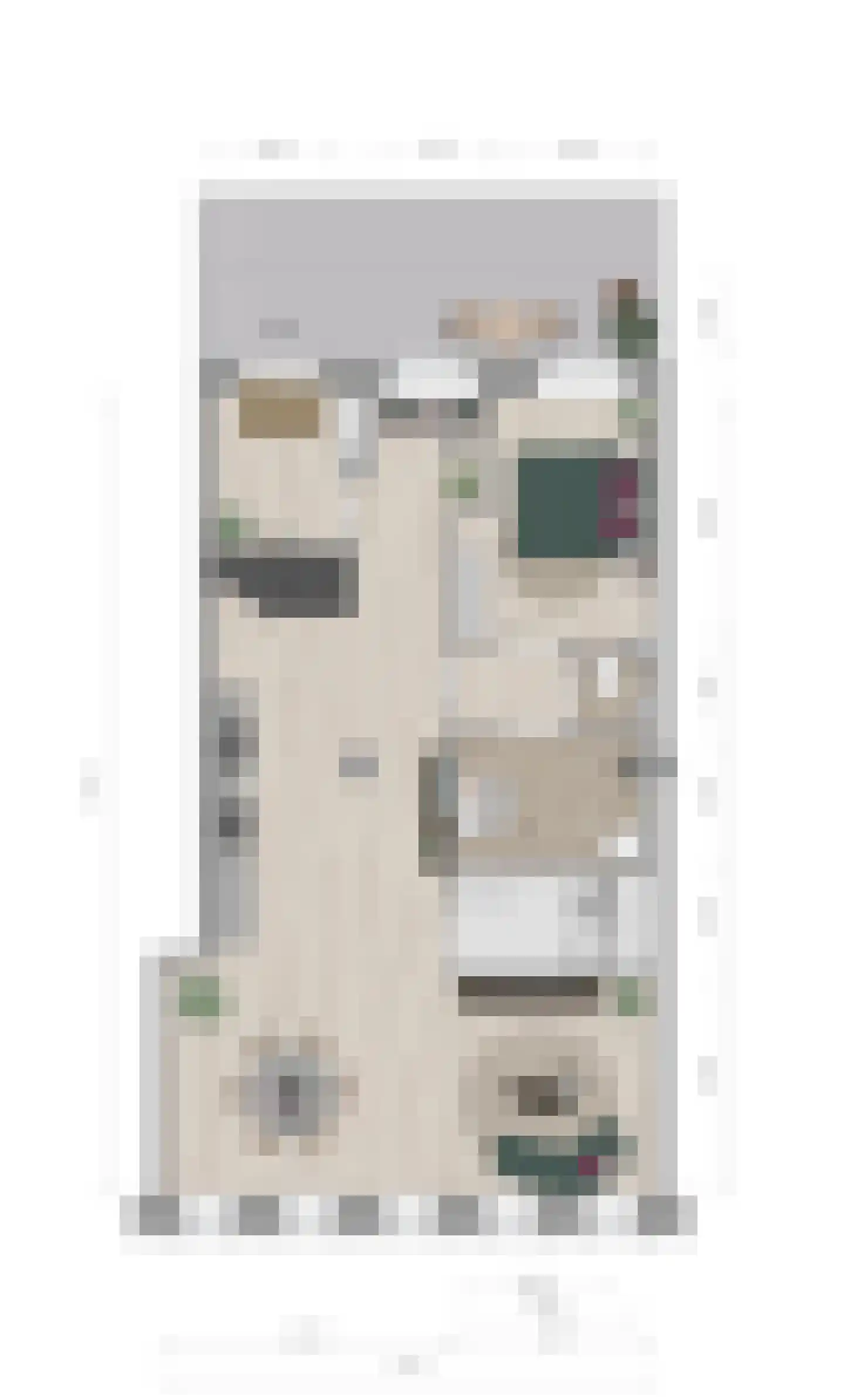 Oude Vest 6 D4 Breda thumbnail 67