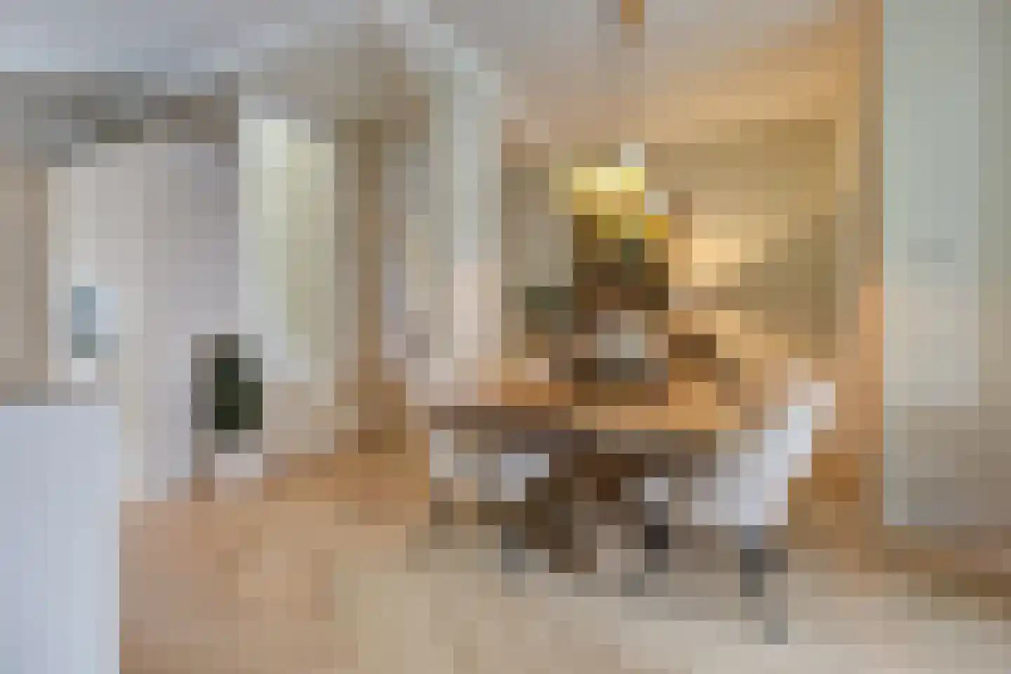 Oude Vest 6 D6 Breda thumbnail 15