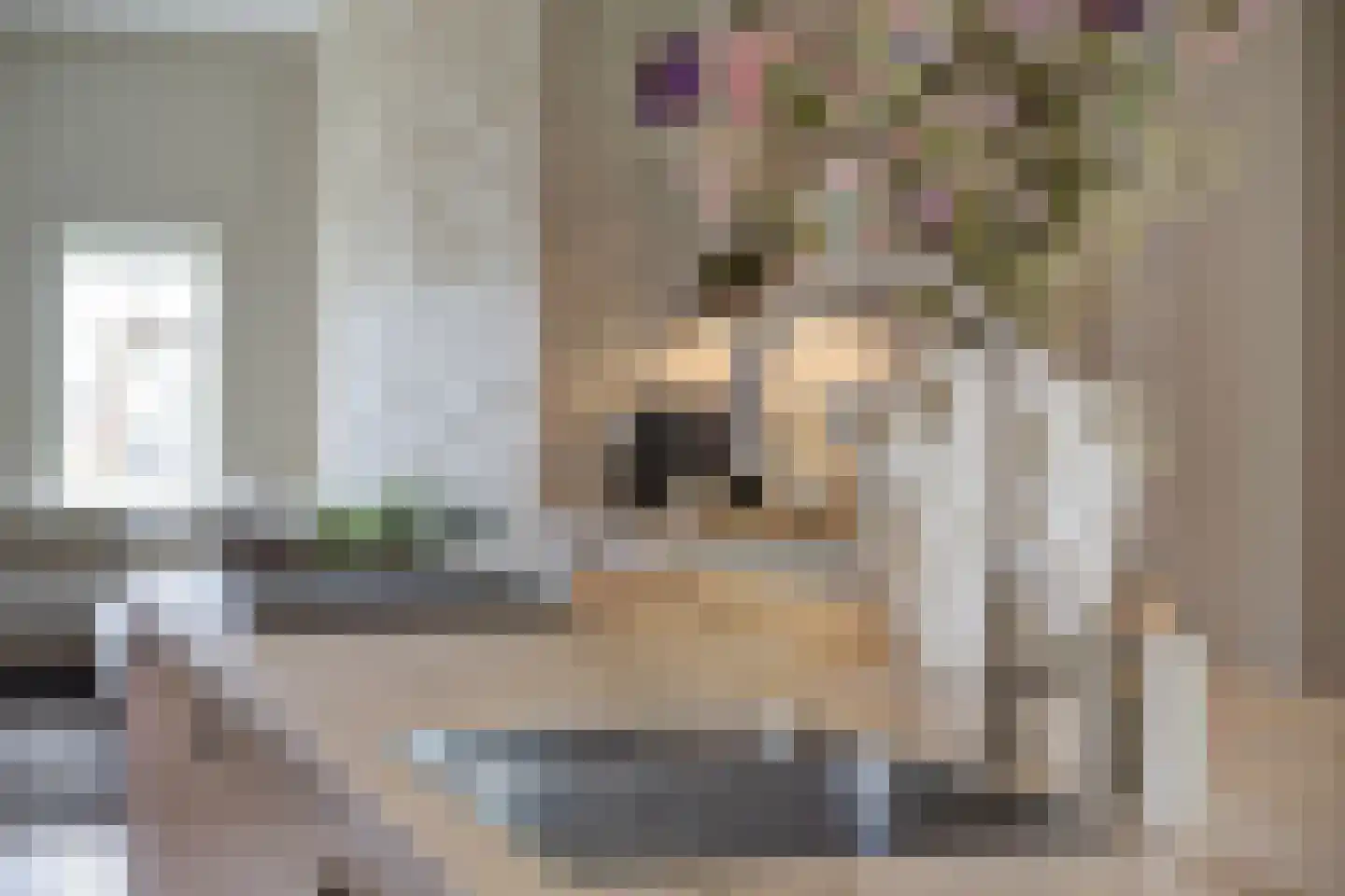 Oude Vest 6 D6 Breda thumbnail 20