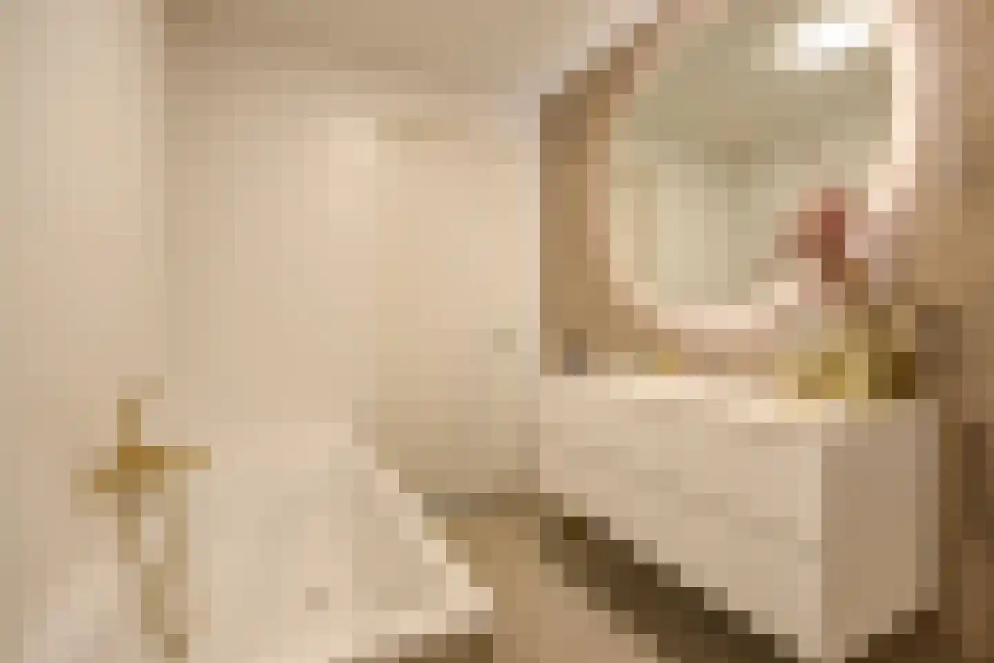 Oude Vest 6 D6 Breda thumbnail 32