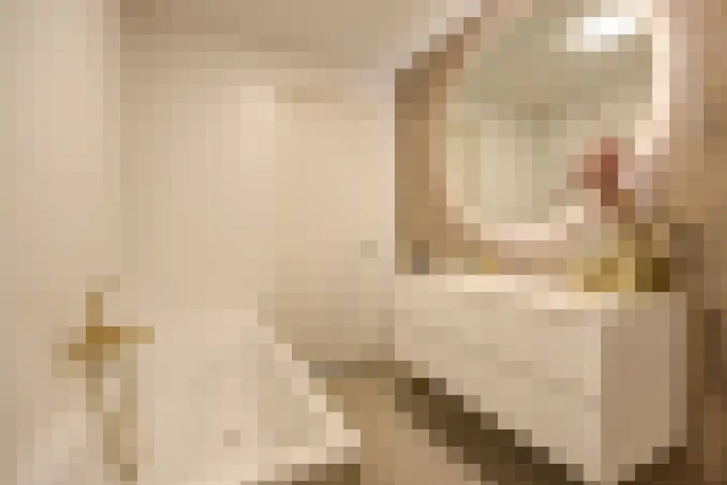 Oude Vest 6 D6 Breda thumbnail 33