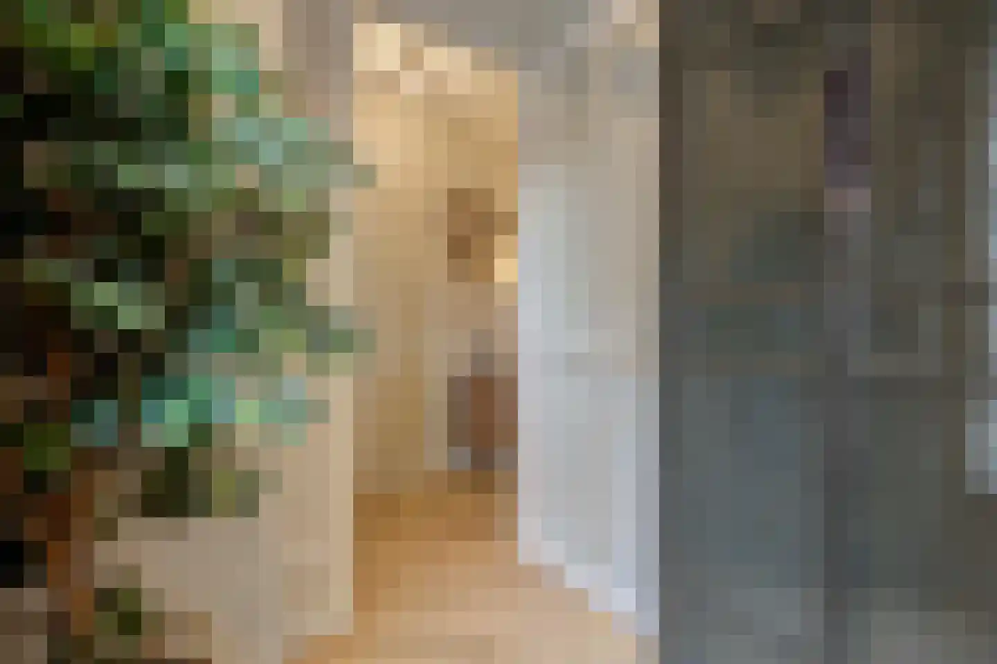 Oude Vest 6 D6 Breda thumbnail 37