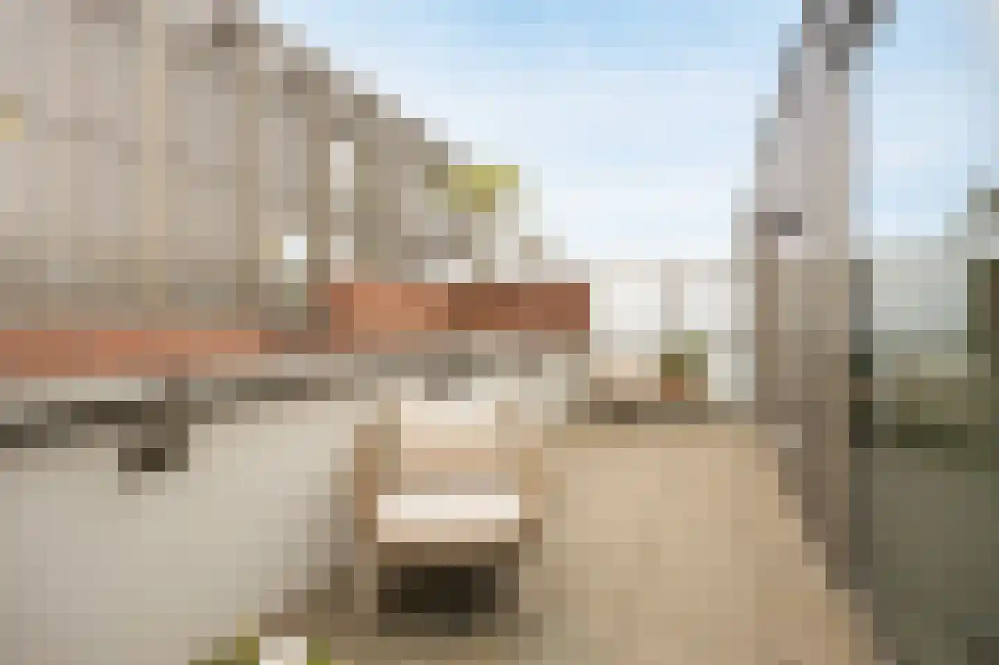 Oude Vest 6 D6 Breda thumbnail 42