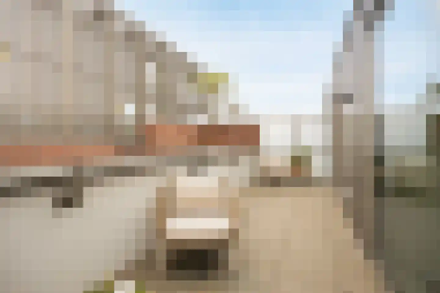Oude Vest 6 D6 Breda thumbnail 43
