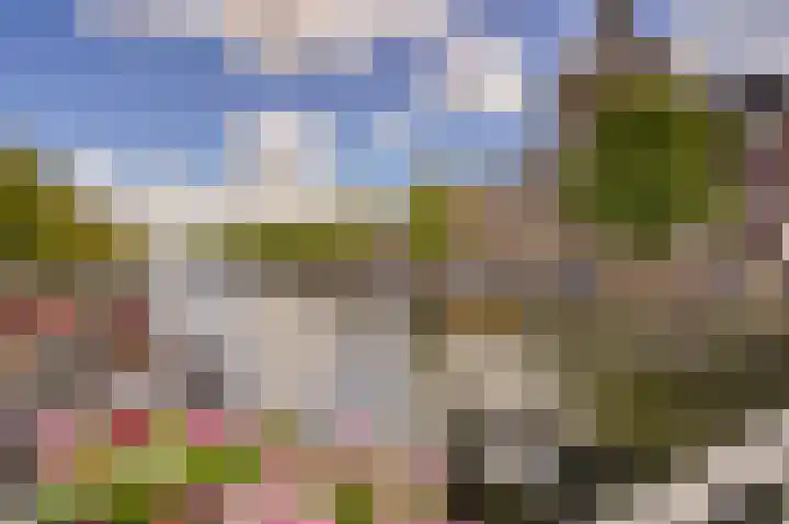 Oude Vest 67 Leiden thumbnail 22