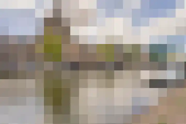 Oude Vest 67 Leiden thumbnail 23