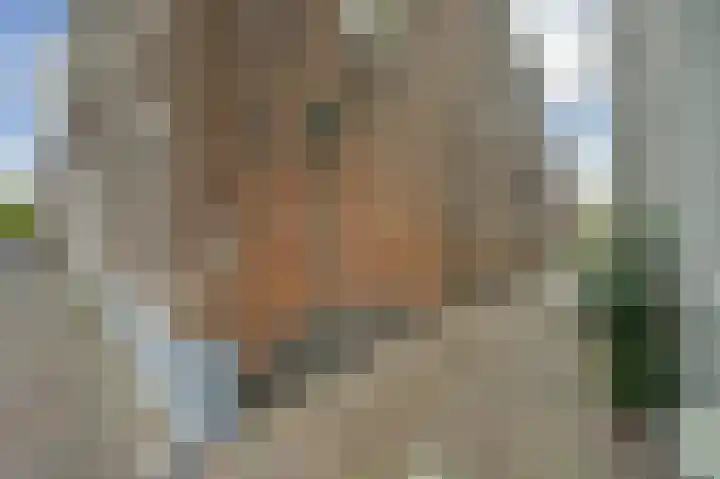 Oude Vest 67 Leiden thumbnail 5