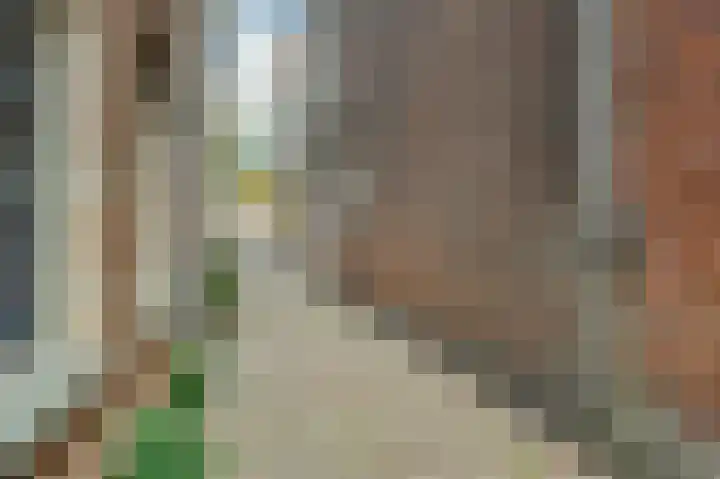 Oude Vest 67 Leiden thumbnail 6
