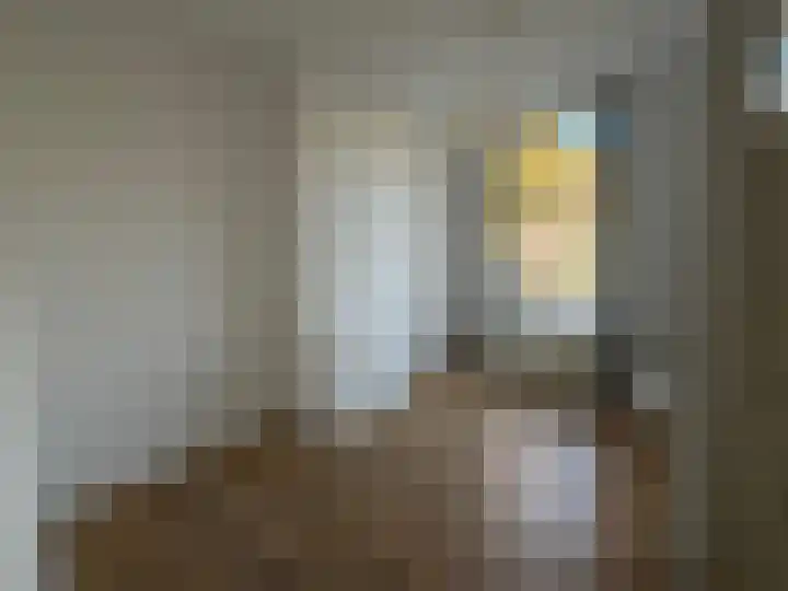 Oude Vest 67 Leiden thumbnail 8