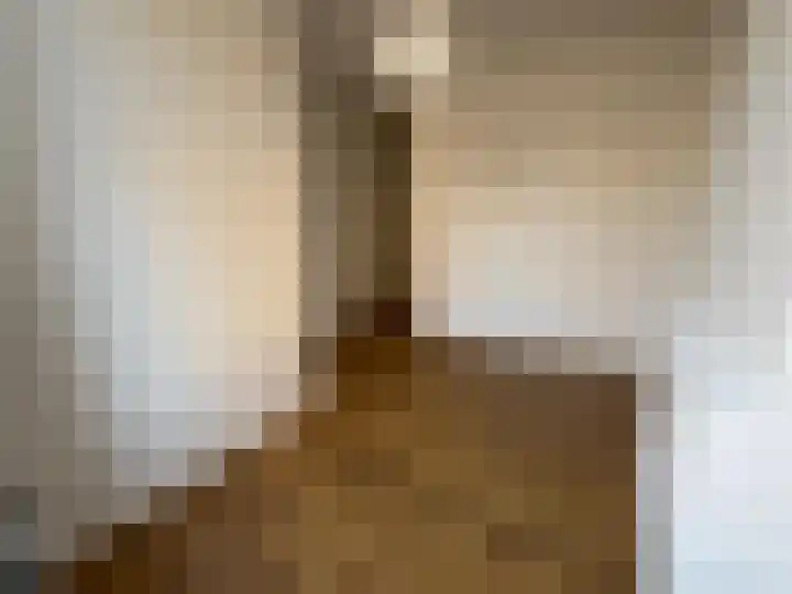 Oude Vest 67 Leiden thumbnail 9