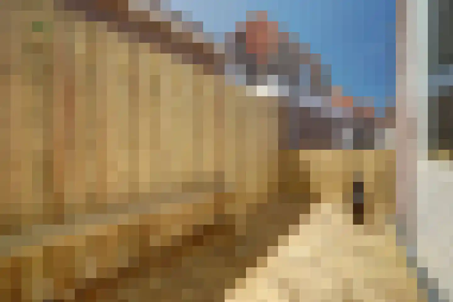 Oude Vismarkt 12 Goes thumbnail 12