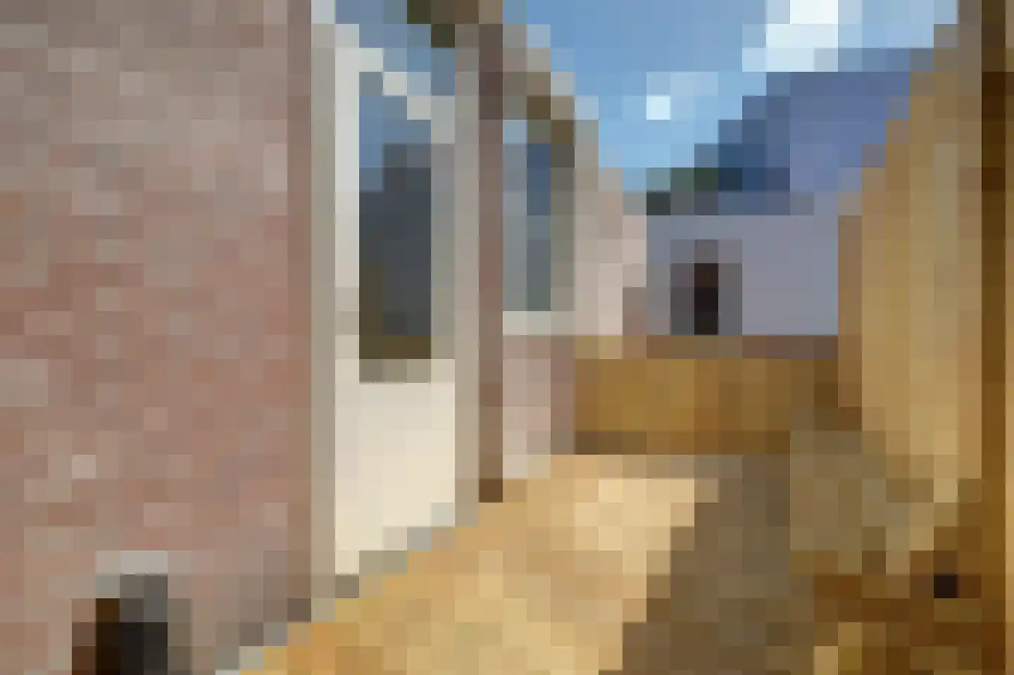 Oude Vismarkt 12 Goes thumbnail 13