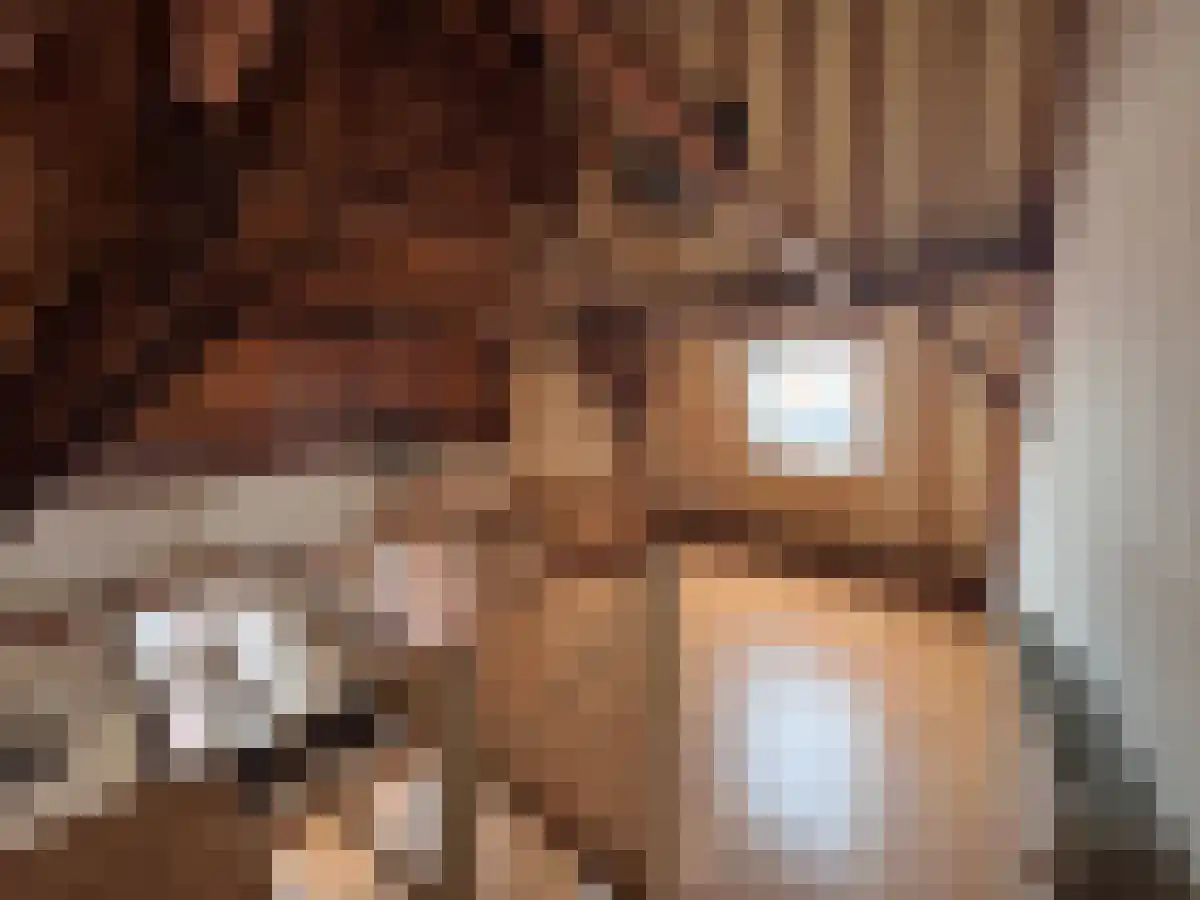 Oude Vismarkt 2 Goes thumbnail 4