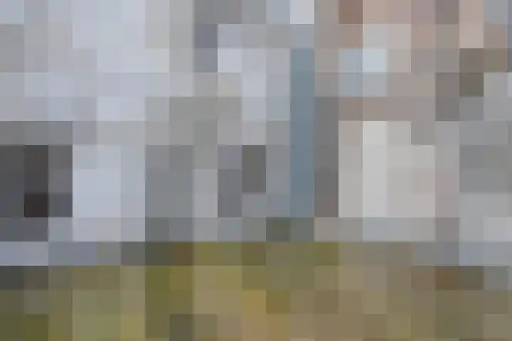 Oude Vismarkt 4 B Zwolle thumbnail 31