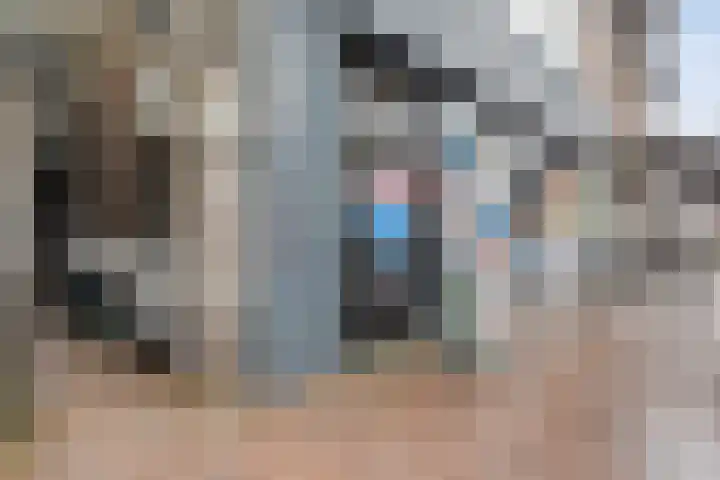 Oude Vismarkt 4 B Zwolle thumbnail 32