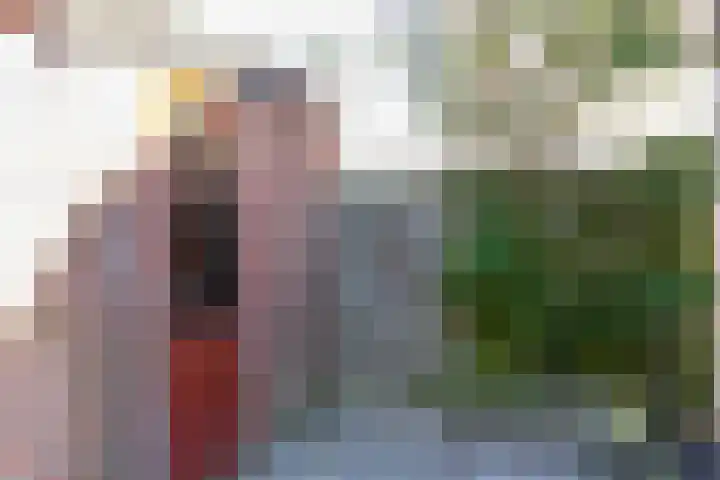 Oude Vlie 11 Emmeloord thumbnail 12