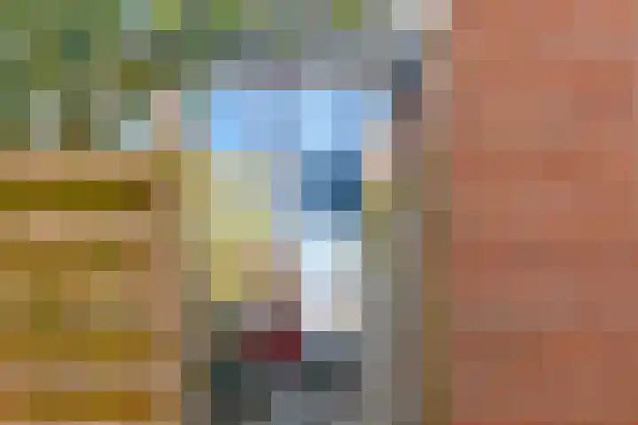Oude Vlie 11 Emmeloord thumbnail 15