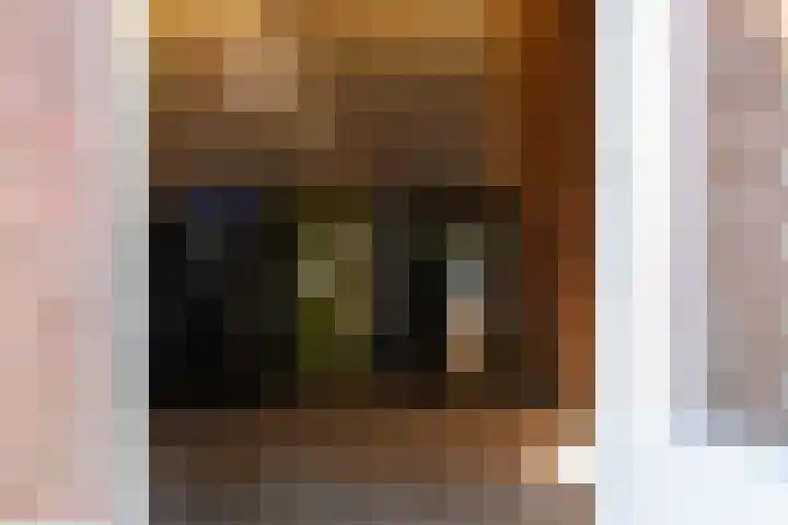 Oude Vlie 11 Emmeloord thumbnail 17
