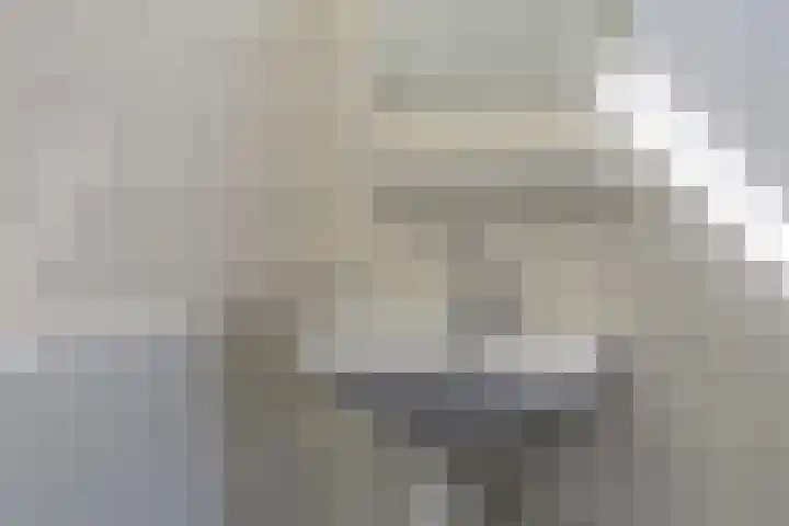 Oude Vlie 11 Emmeloord thumbnail 24