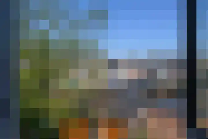 Oude Vlie 11 Emmeloord thumbnail 29