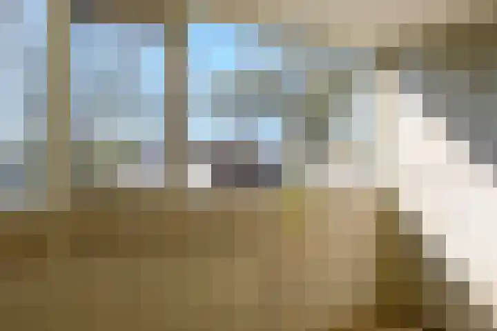Oude Vlie 11 Emmeloord thumbnail 35