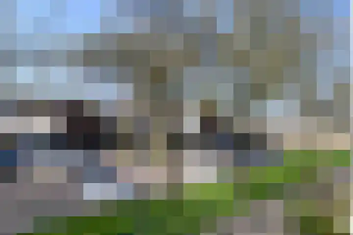 Oude Vlie 11 Emmeloord thumbnail 36