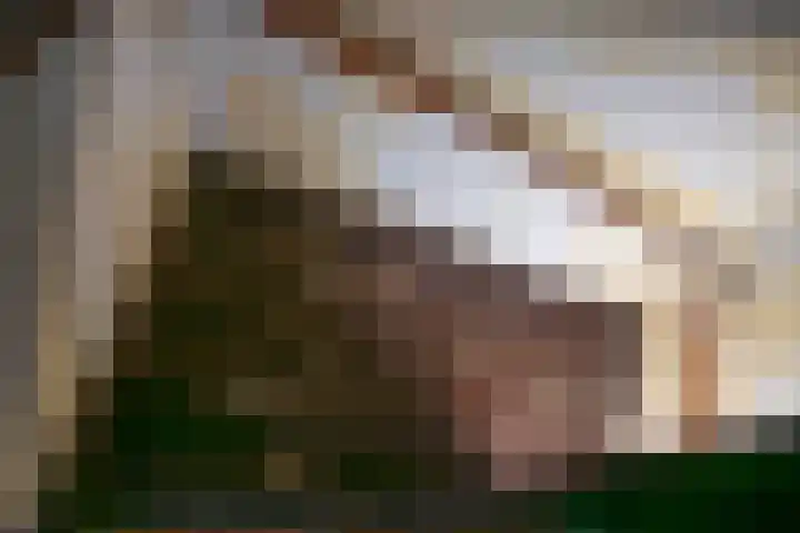 Oude Vlie 11 Emmeloord thumbnail 39