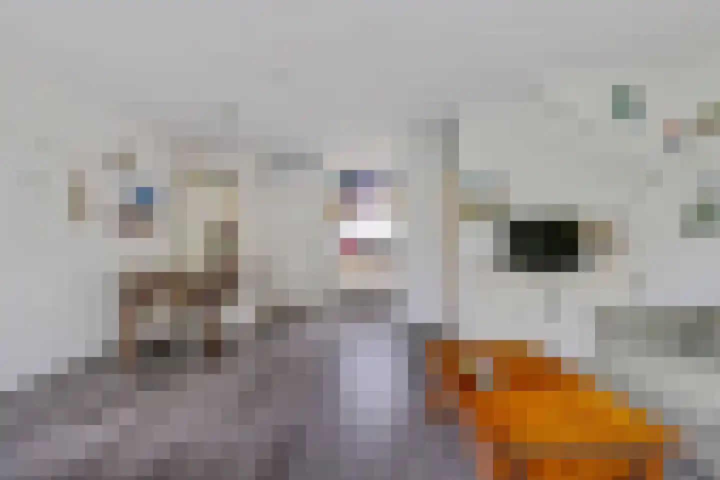 Oude Vlie 132 Emmeloord thumbnail 10