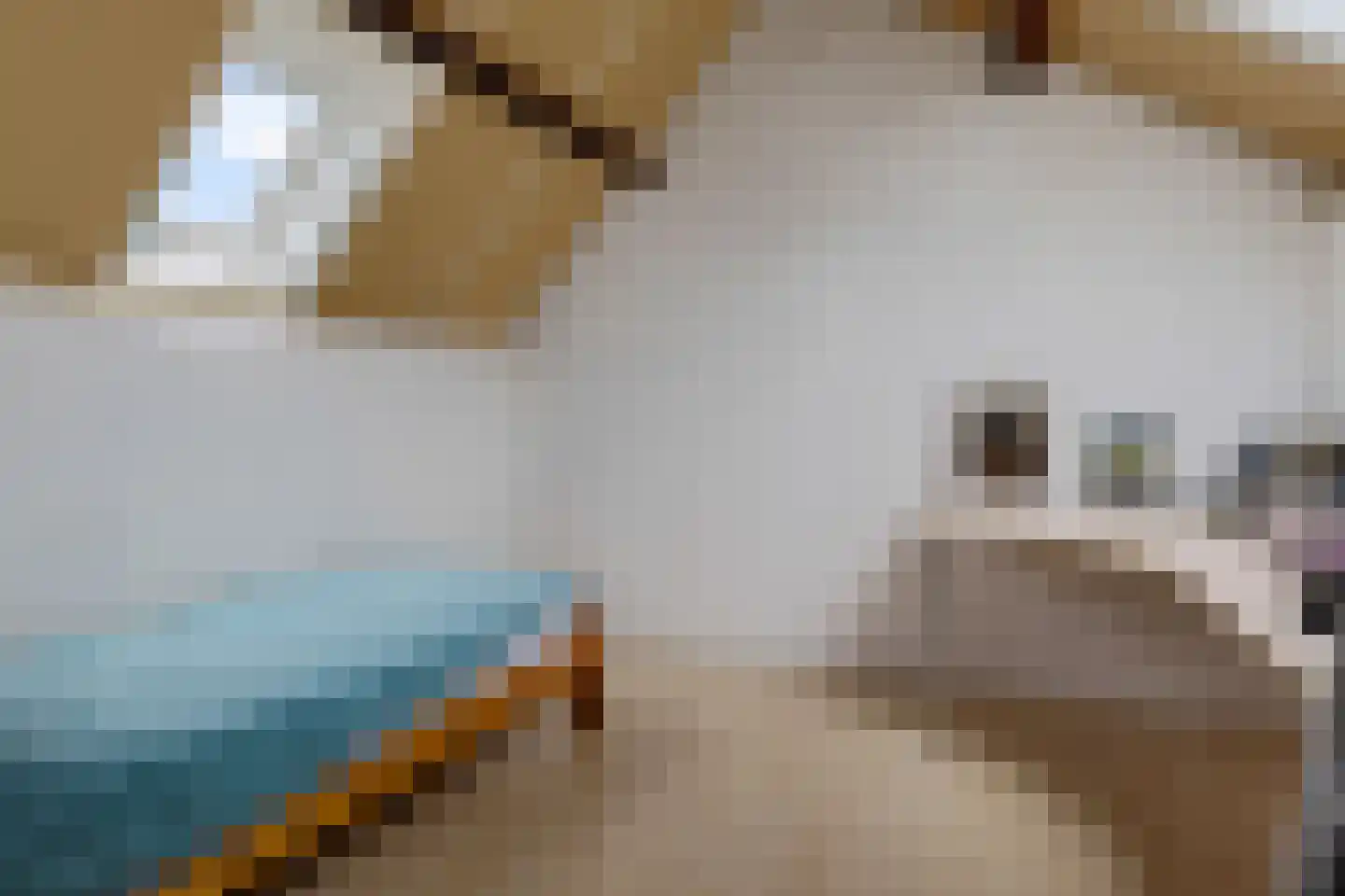 Oude Vlie 132 Emmeloord thumbnail 17
