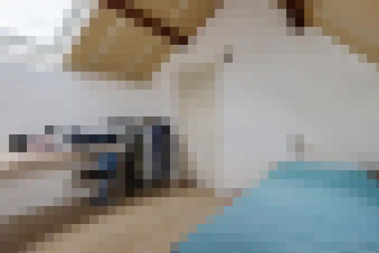 Oude Vlie 132 Emmeloord thumbnail 18