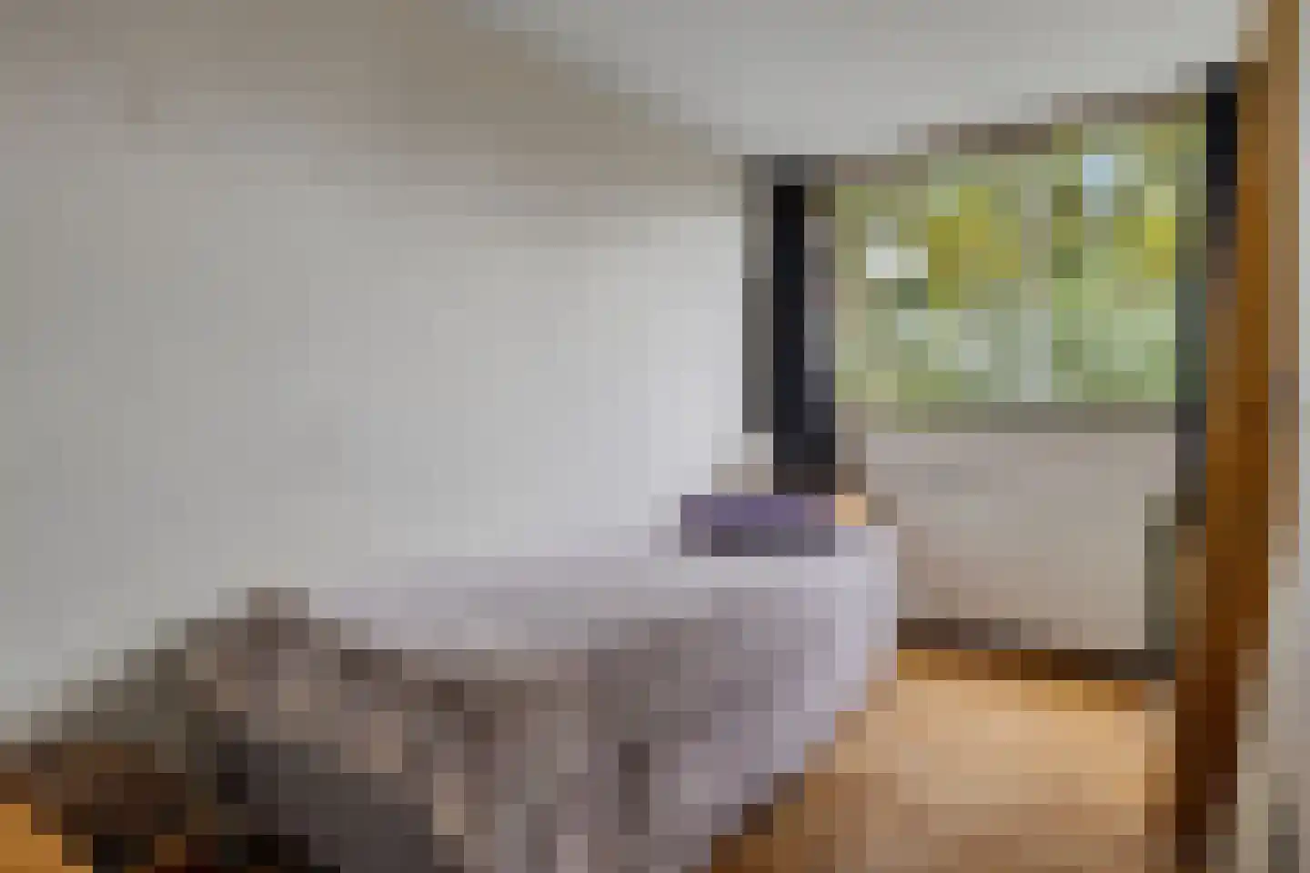 Oude Vlie 132 Emmeloord thumbnail 22