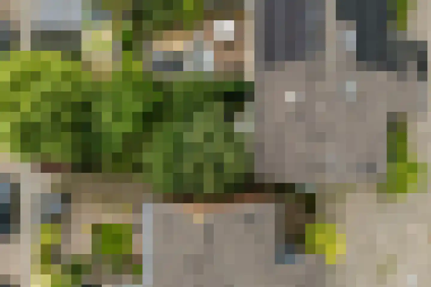 Oude Vlie 132 Emmeloord thumbnail 27