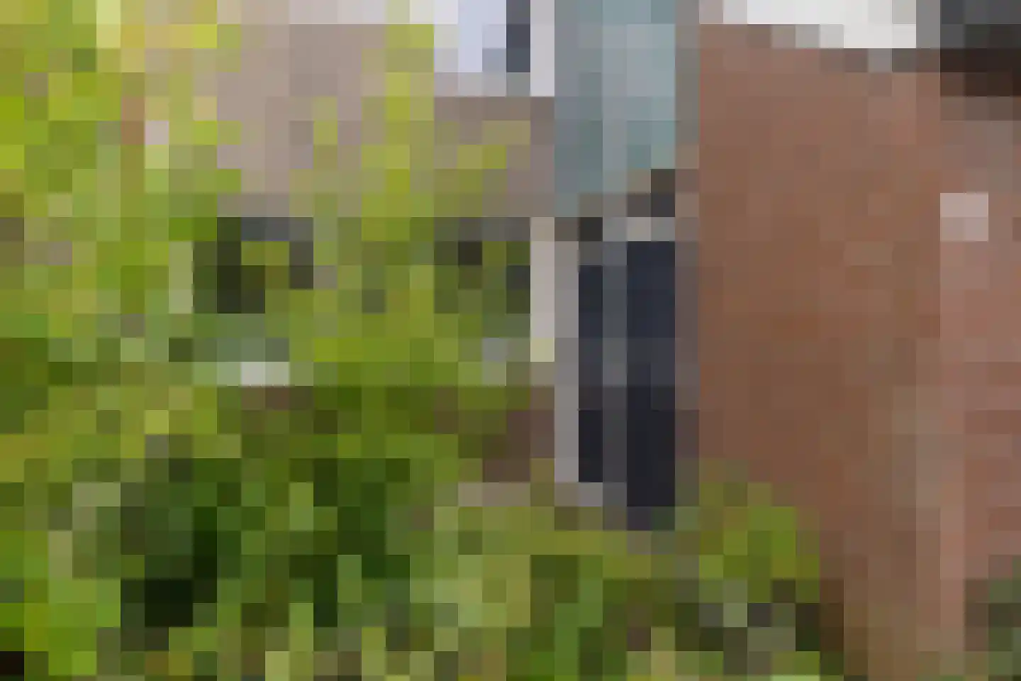 Oude Vlie 132 Emmeloord thumbnail 6