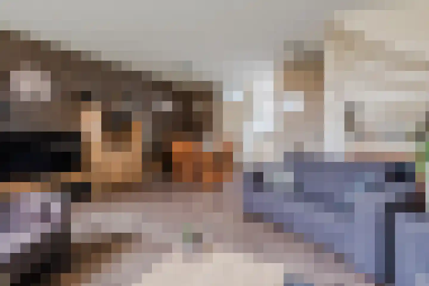Oude Vlie 144 Emmeloord thumbnail 13