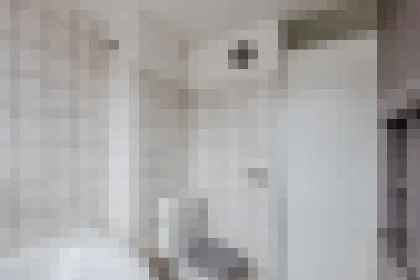 Oude Vlie 144 Emmeloord thumbnail 30
