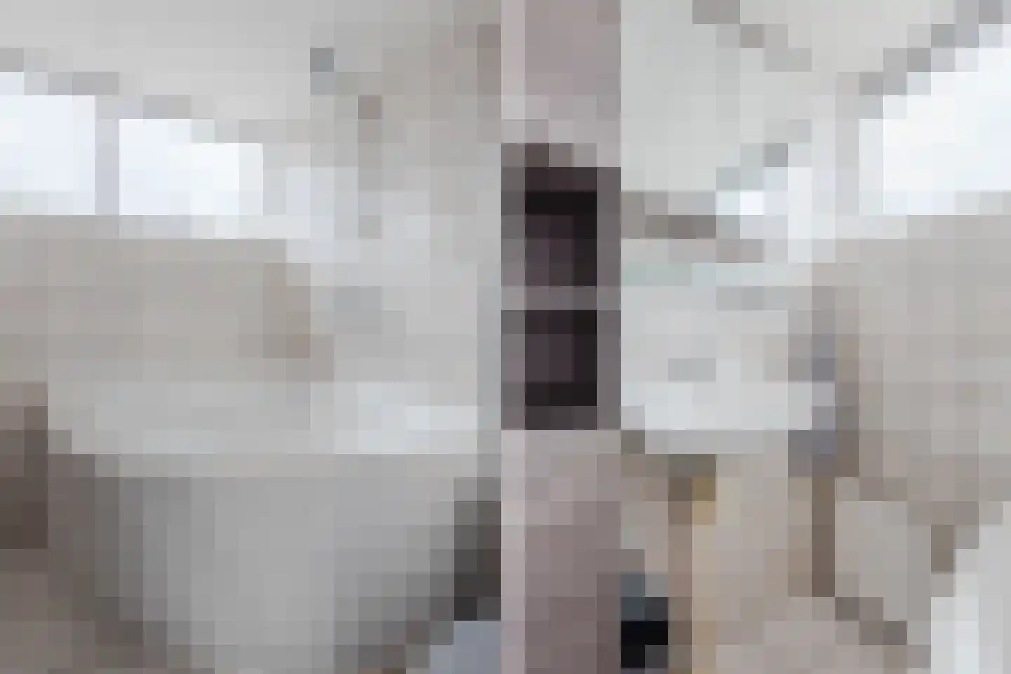 Oude Vlie 144 Emmeloord thumbnail 31