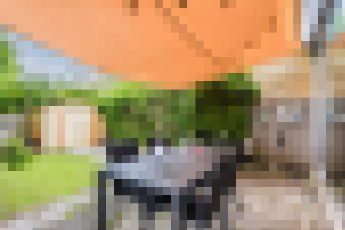 Oude Vlie 144 Emmeloord thumbnail 39