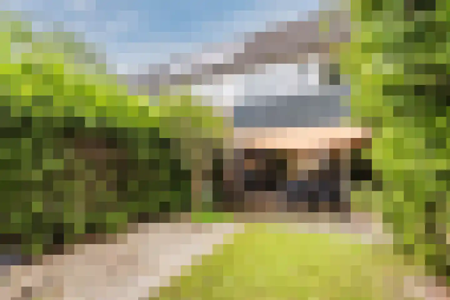 Oude Vlie 144 Emmeloord thumbnail 4