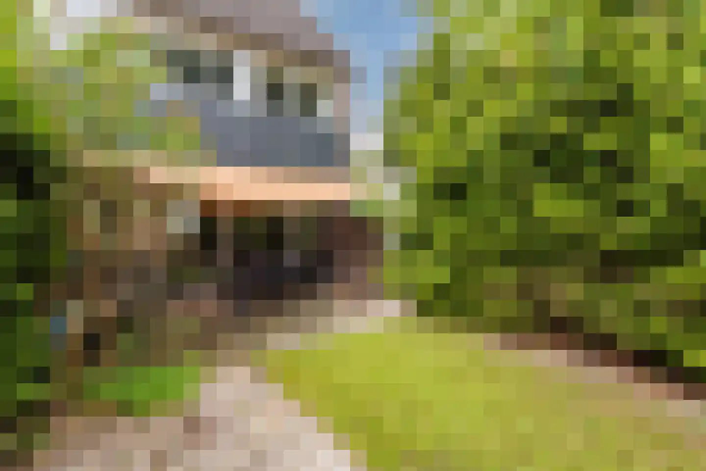 Oude Vlie 144 Emmeloord thumbnail 44