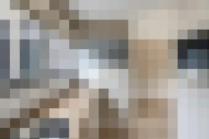 Oude Vlie 46 Emmeloord thumbnail 12