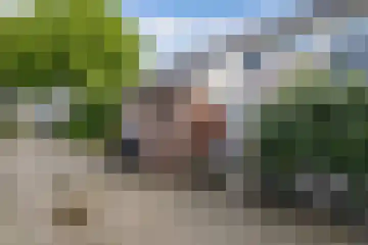 Oude Vlie 46 Emmeloord thumbnail 13