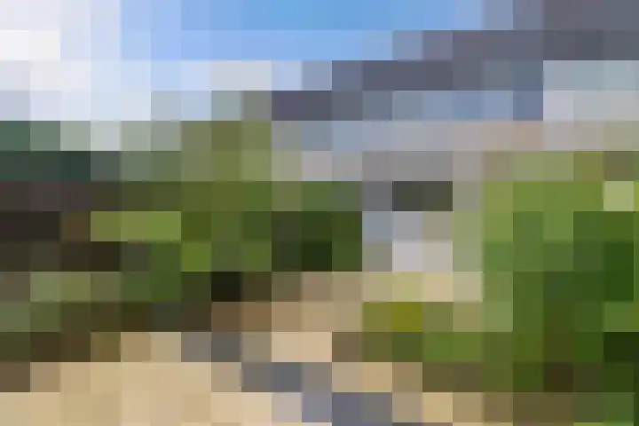 Oude Vlie 46 Emmeloord thumbnail 32