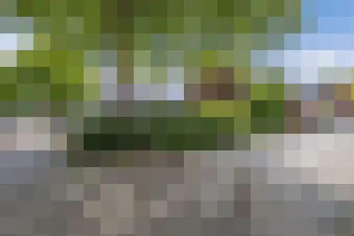 Oude Vlie 46 Emmeloord thumbnail 35