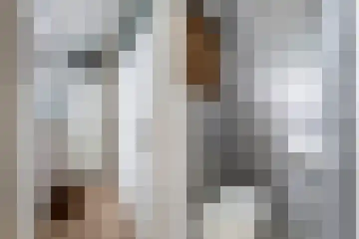 Oude Vlie 46 Emmeloord thumbnail 8