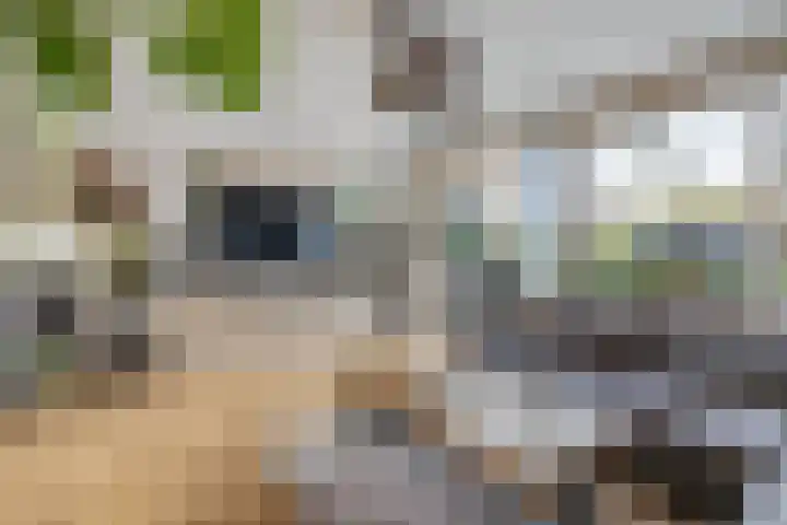 Oude Vlie 62 Emmeloord thumbnail 13