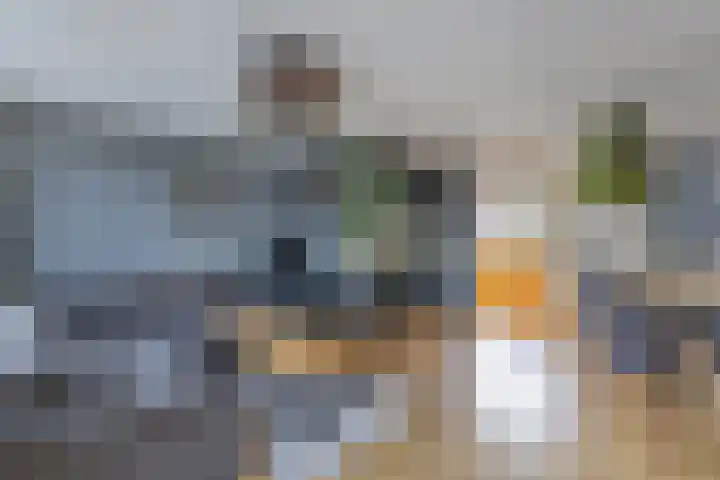Oude Vlie 62 Emmeloord thumbnail 14