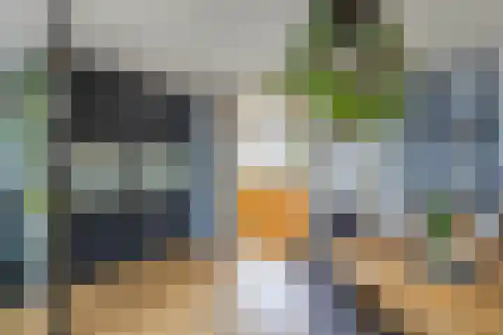 Oude Vlie 62 Emmeloord thumbnail 16