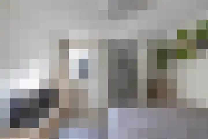 Oude Vlie 62 Emmeloord thumbnail 21