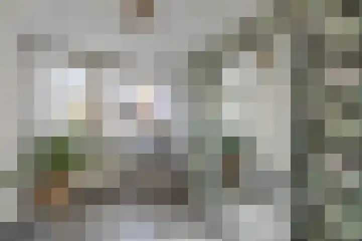 Oude Vlie 62 Emmeloord thumbnail 24