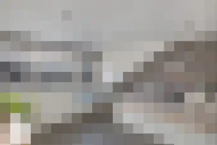 Oude Vlie 62 Emmeloord thumbnail 32